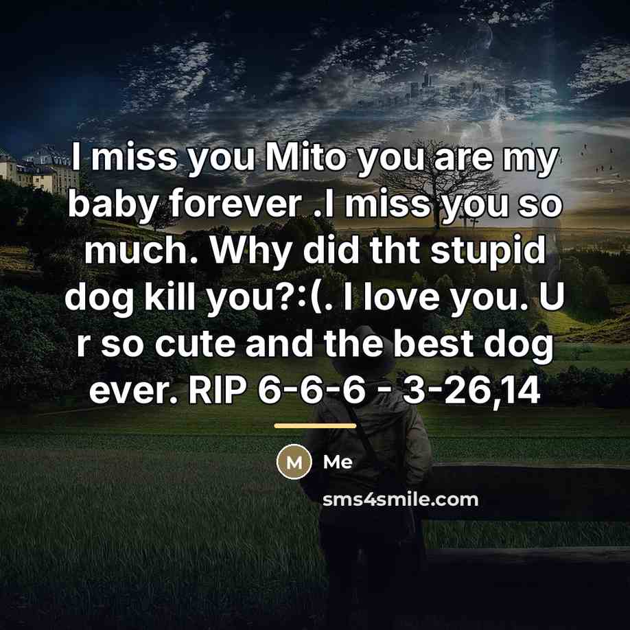 “I miss you Mito you are my baby forever .I…” quote by Me