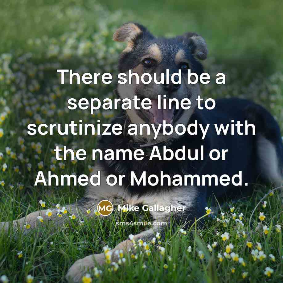 “There should be a separate line to scrutinize anybody with…” quote by Mike Gallagher
