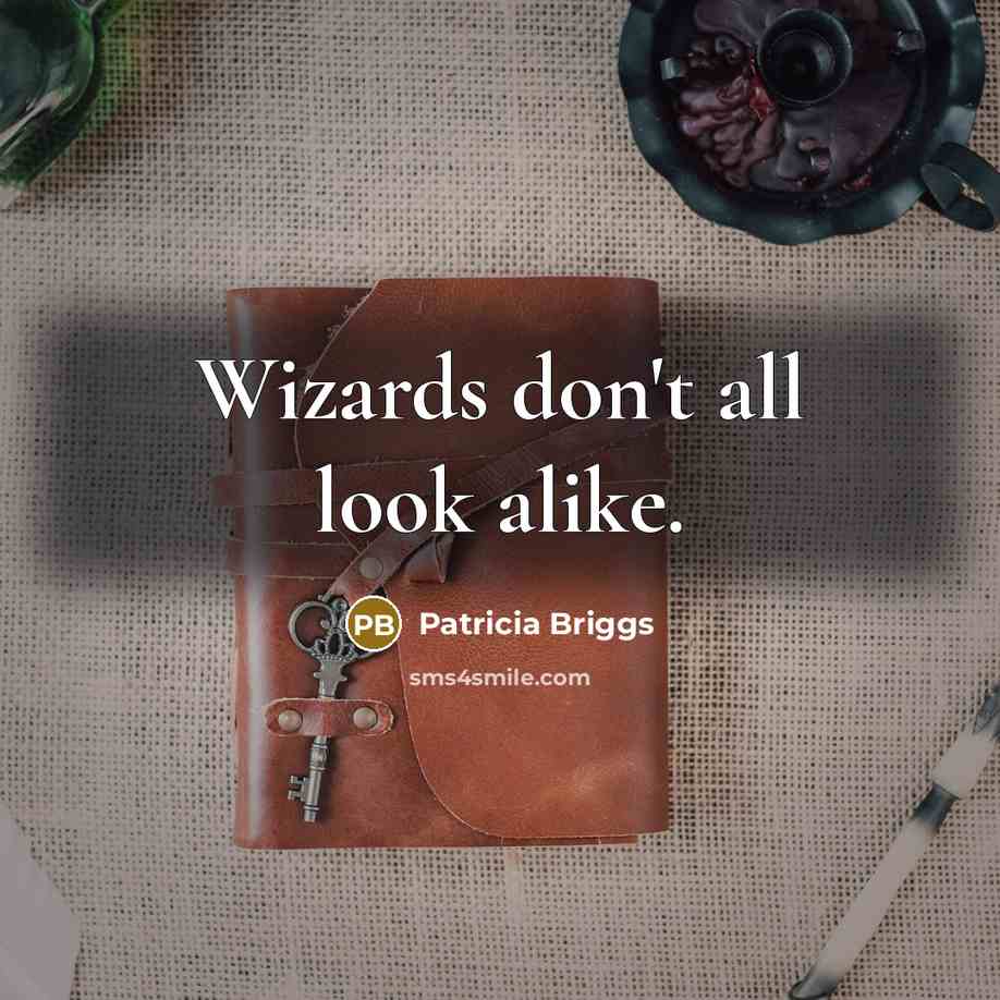 “Wizards don't all look alike.…” quote by Patricia Briggs