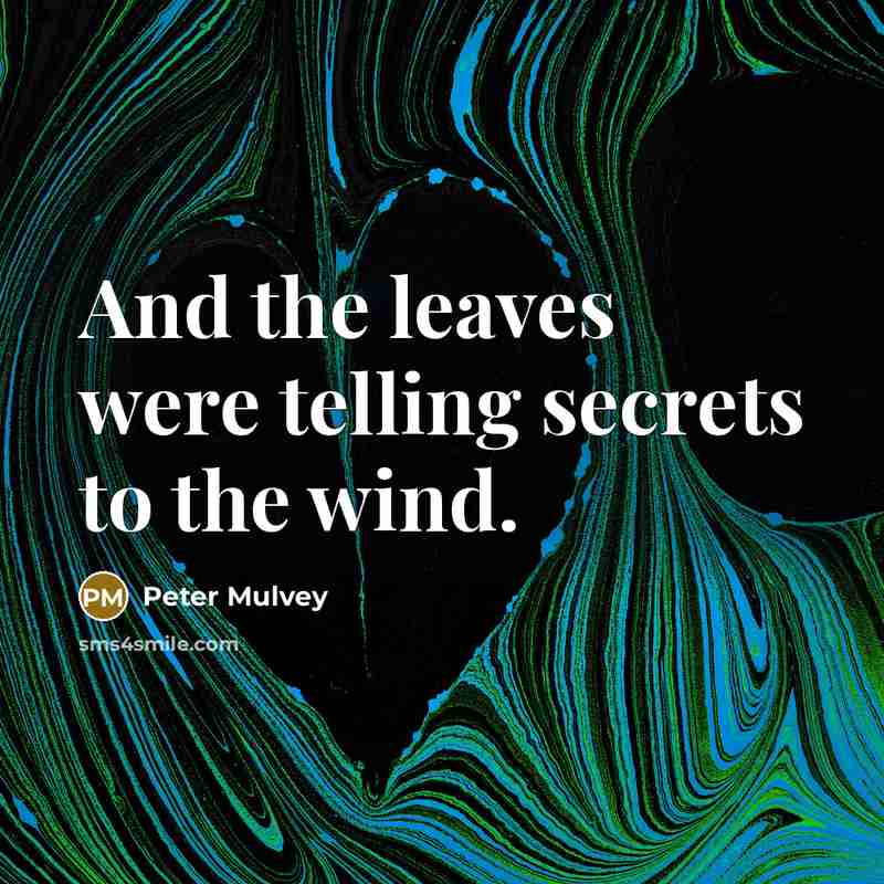“And the leaves were telling secrets to the wind.…” quote by Peter Mulvey