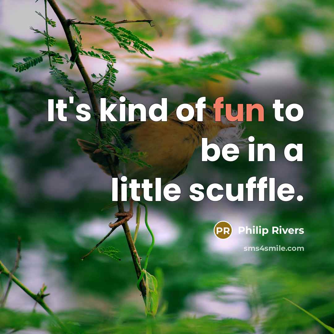“It's kind of fun to be in a little scuffle.…” quote by Philip Rivers