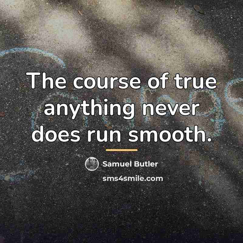 “The course of true anything never does run smooth.…” quote by Samuel Butler