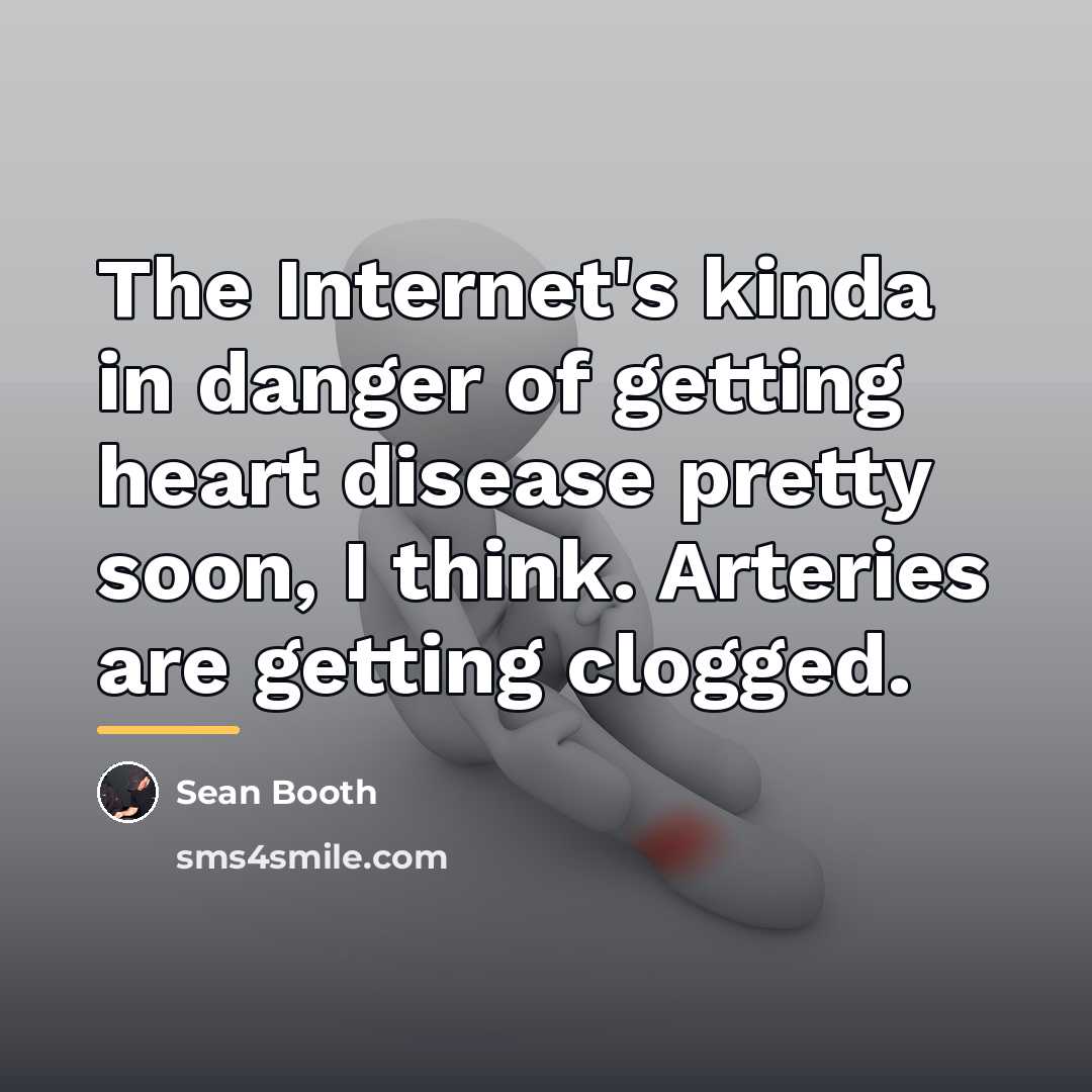 “The Internet's kinda in danger of getting heart disease pretty…” quote by Sean Booth
