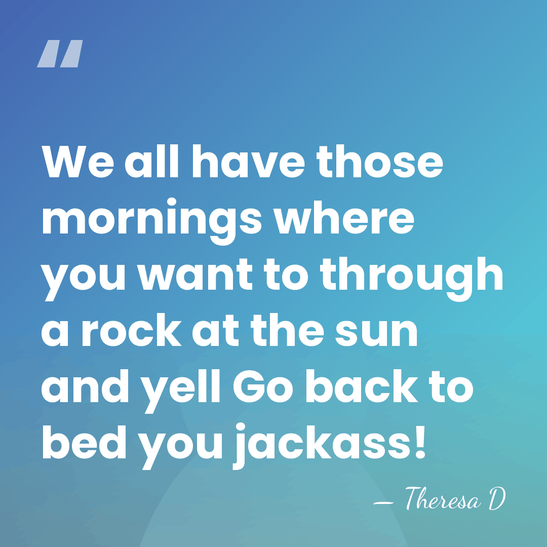 We all have those mornings where you want to through a rock&hellip; - Theresa D