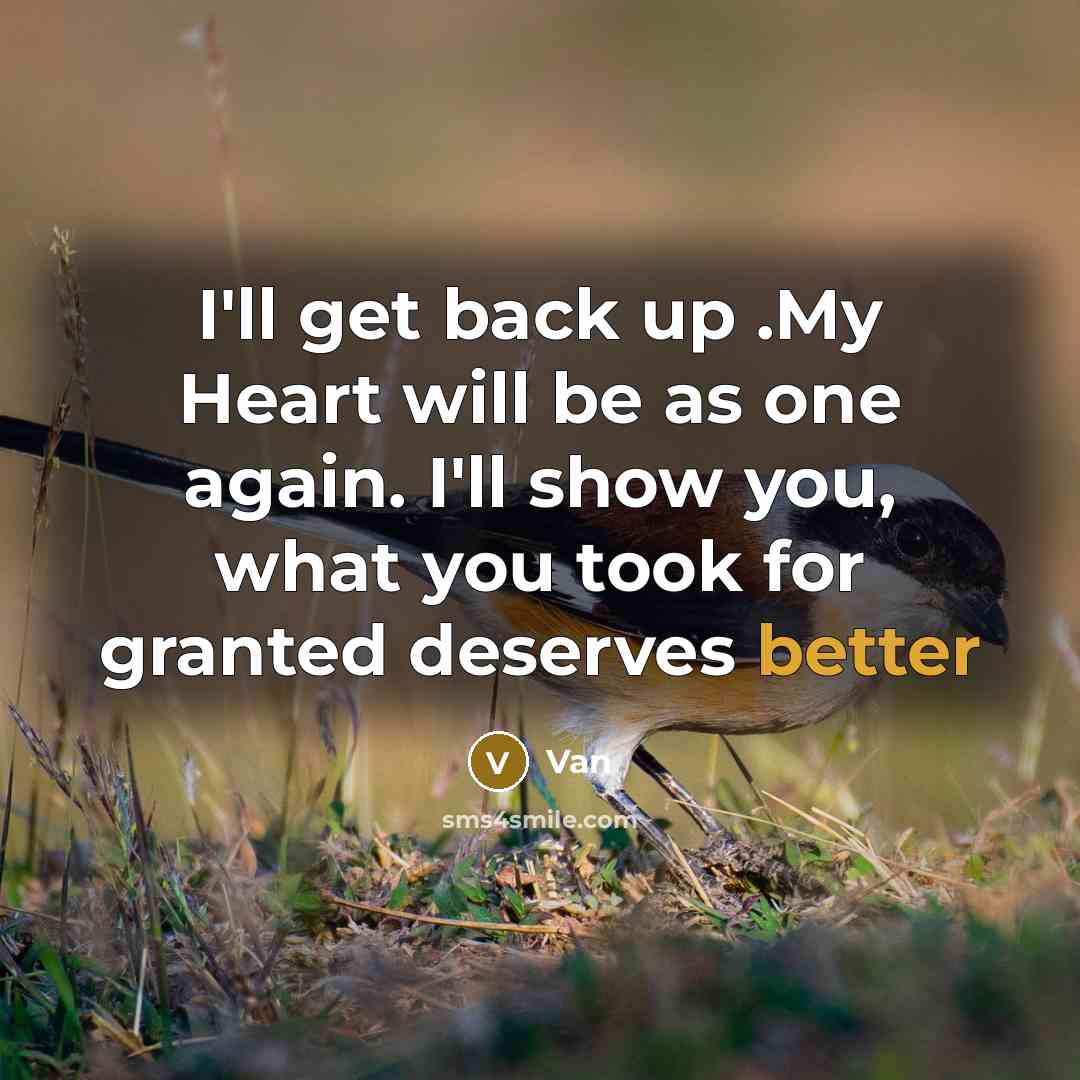 “I'll get back up .My Heart will be as one again. I'll show you, what you took for granted deserves better” quote by Van