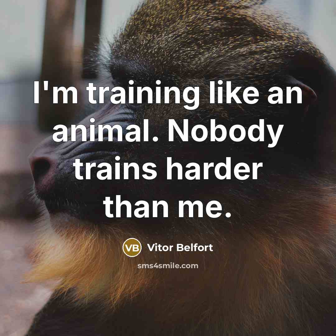 “I'm training like an animal. Nobody trains harder than me.…” quote by Vitor Belfort