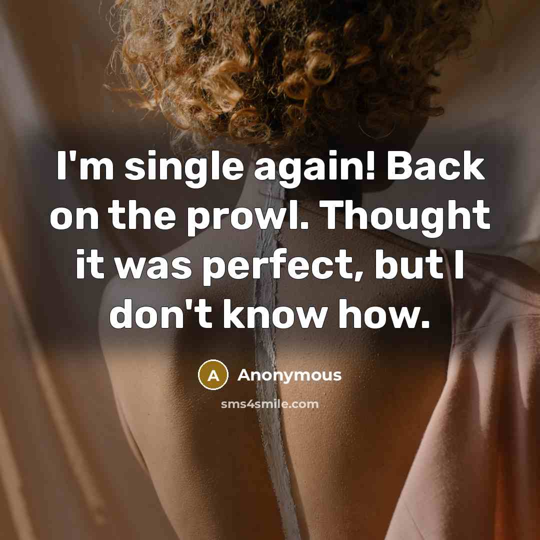 “I'm single again! Back on the prowl. Thought it was perfect, but I don't know how.” quote by Anonymous