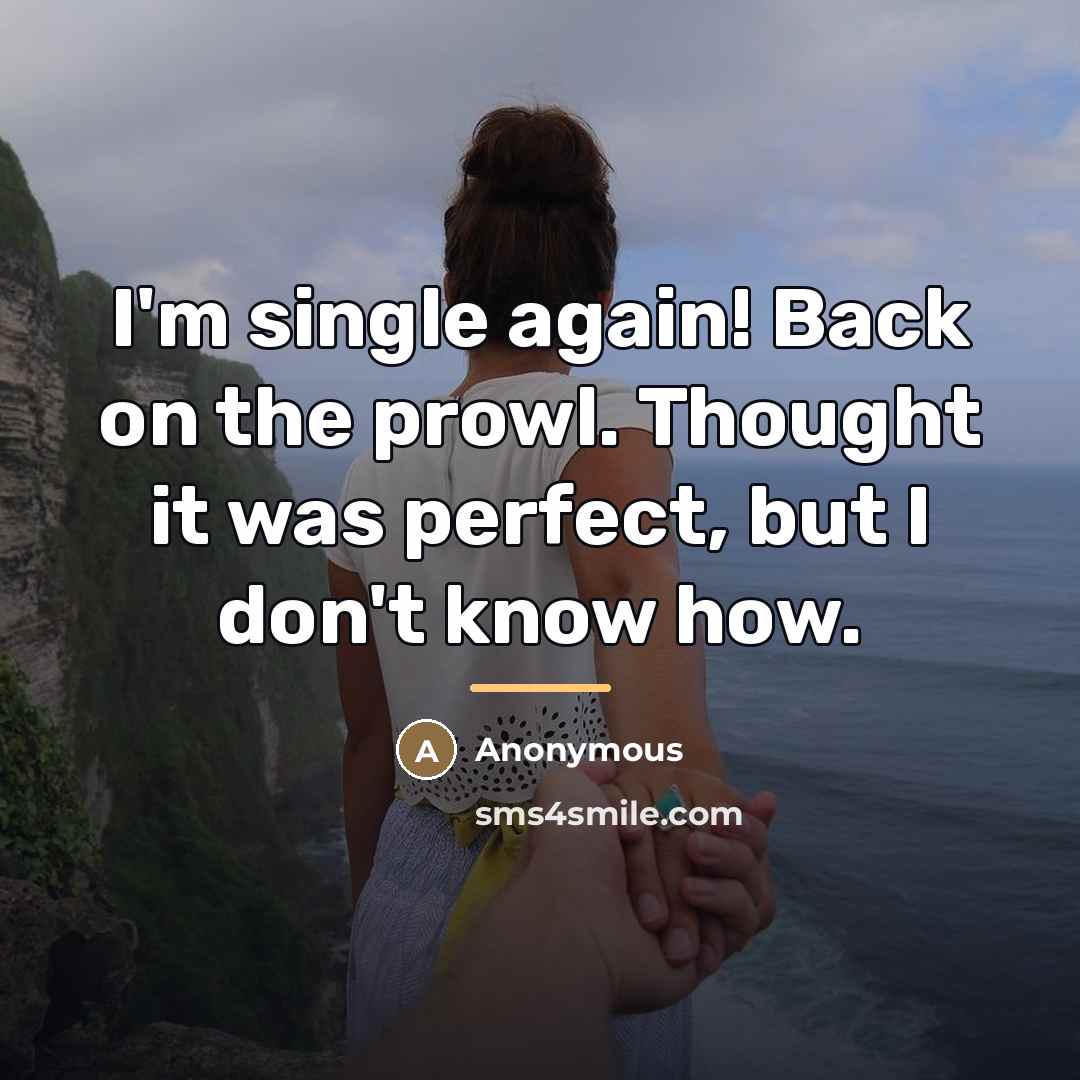 “I'm single again! Back on the prowl. Thought it was…” quote by Anonymous