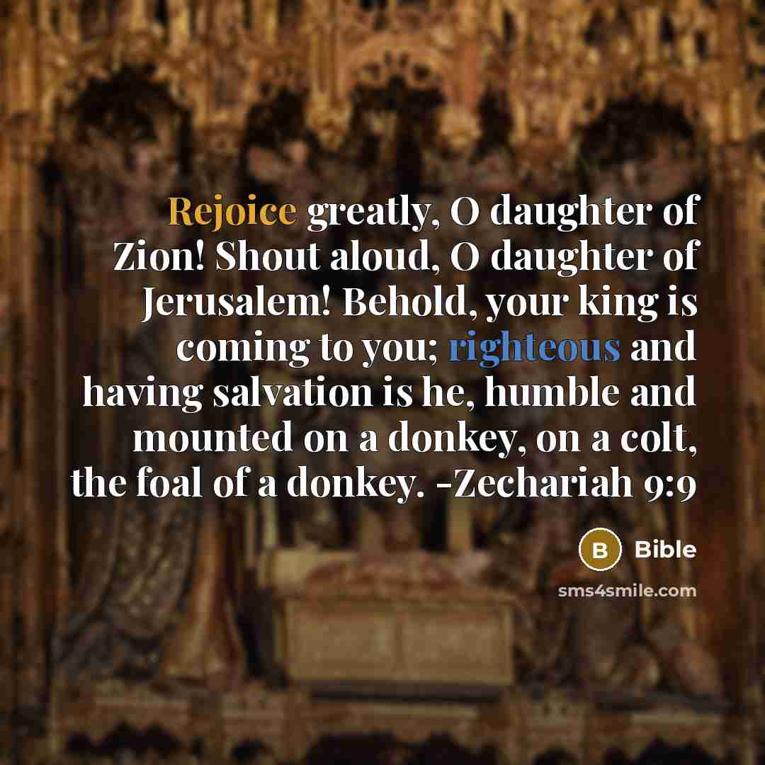 “Rejoice greatly, O daughter of Zion! Shout aloud, O daughter…” quote by Bible
