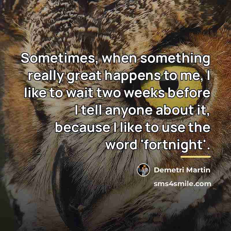 “Sometimes, when something really great happens to me, I like…” quote by Demetri Martin