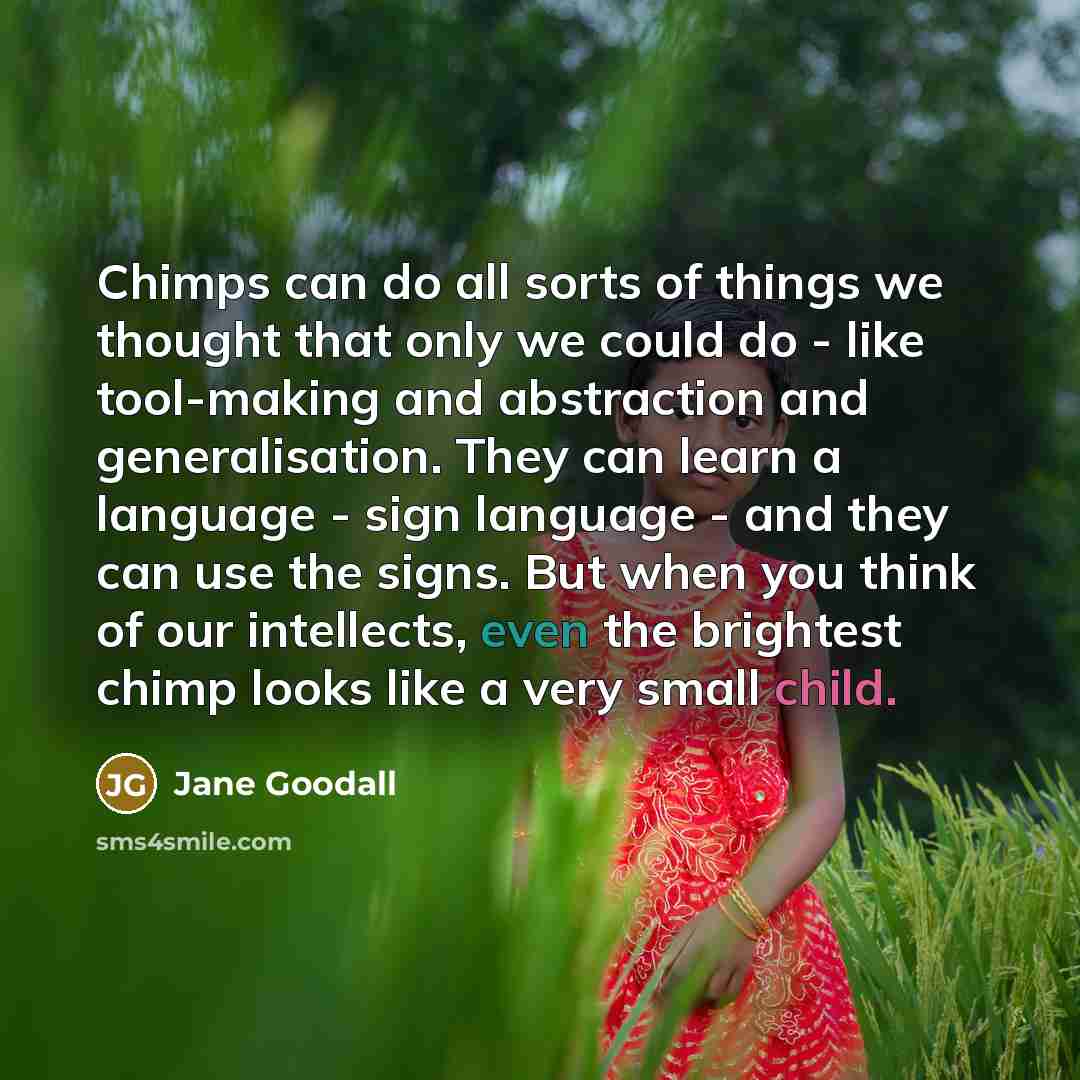 “Chimps can do all sorts of things we thought that…” quote by Jane Goodall