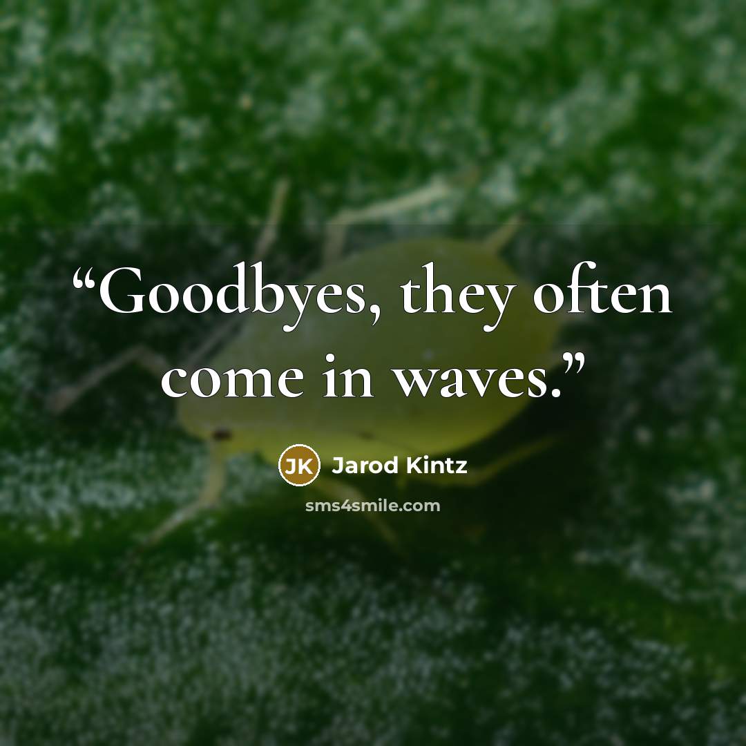 “Goodbyes, they often come in waves.” quote by Jarod Kintz