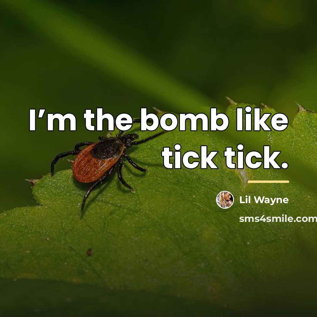 “I’m the bomb like tick tick.…” quote by Lil Wayne