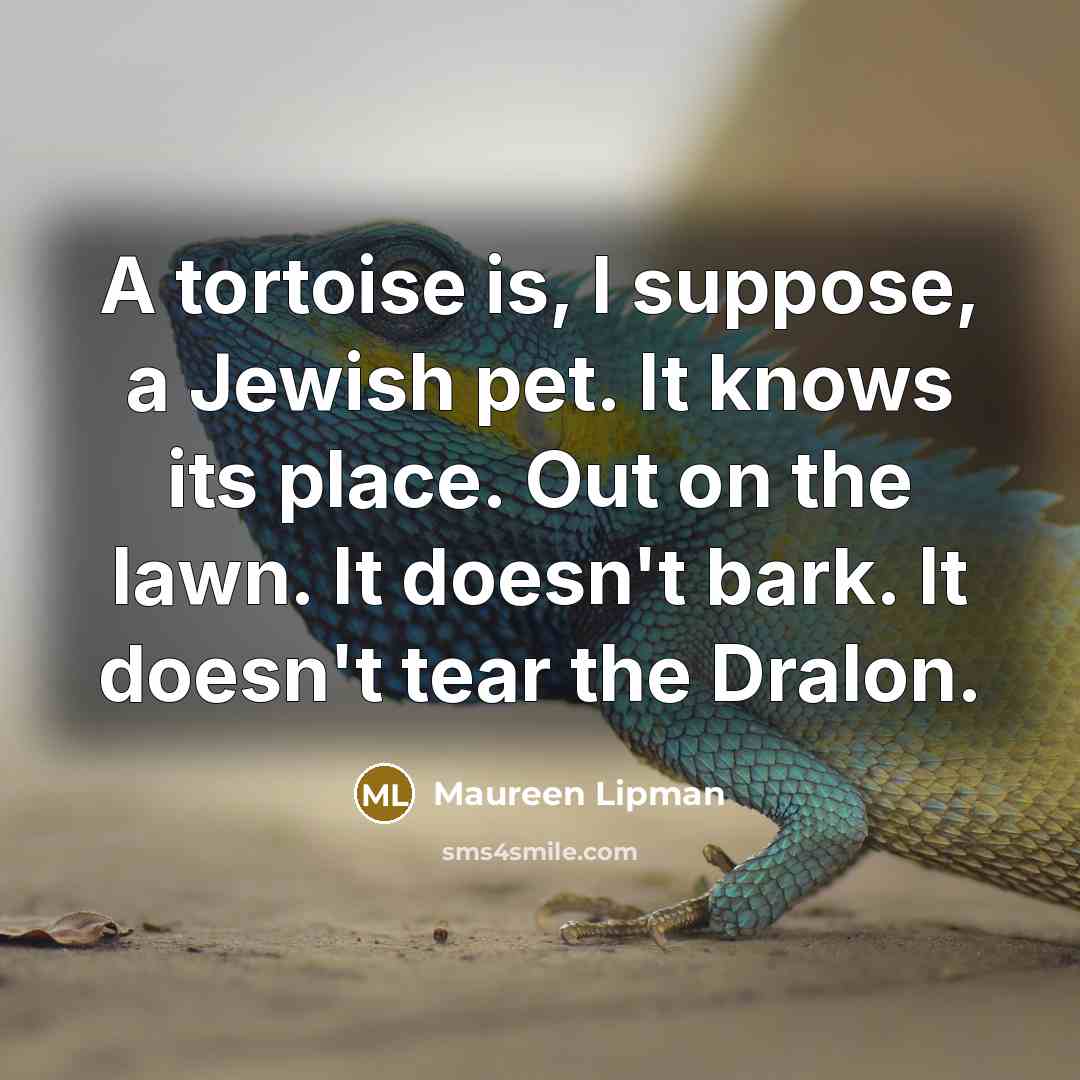 “A tortoise is, I suppose, a Jewish pet. It knows…” quote by Maureen Lipman
