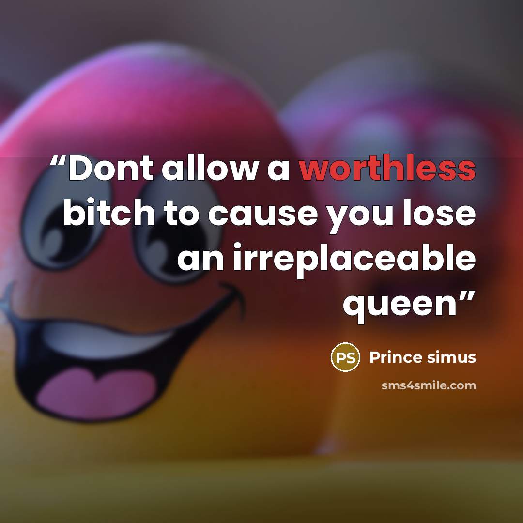 “Dont allow a worthless bitch to cause you lose an irreplaceable queen” quote by Prince simus