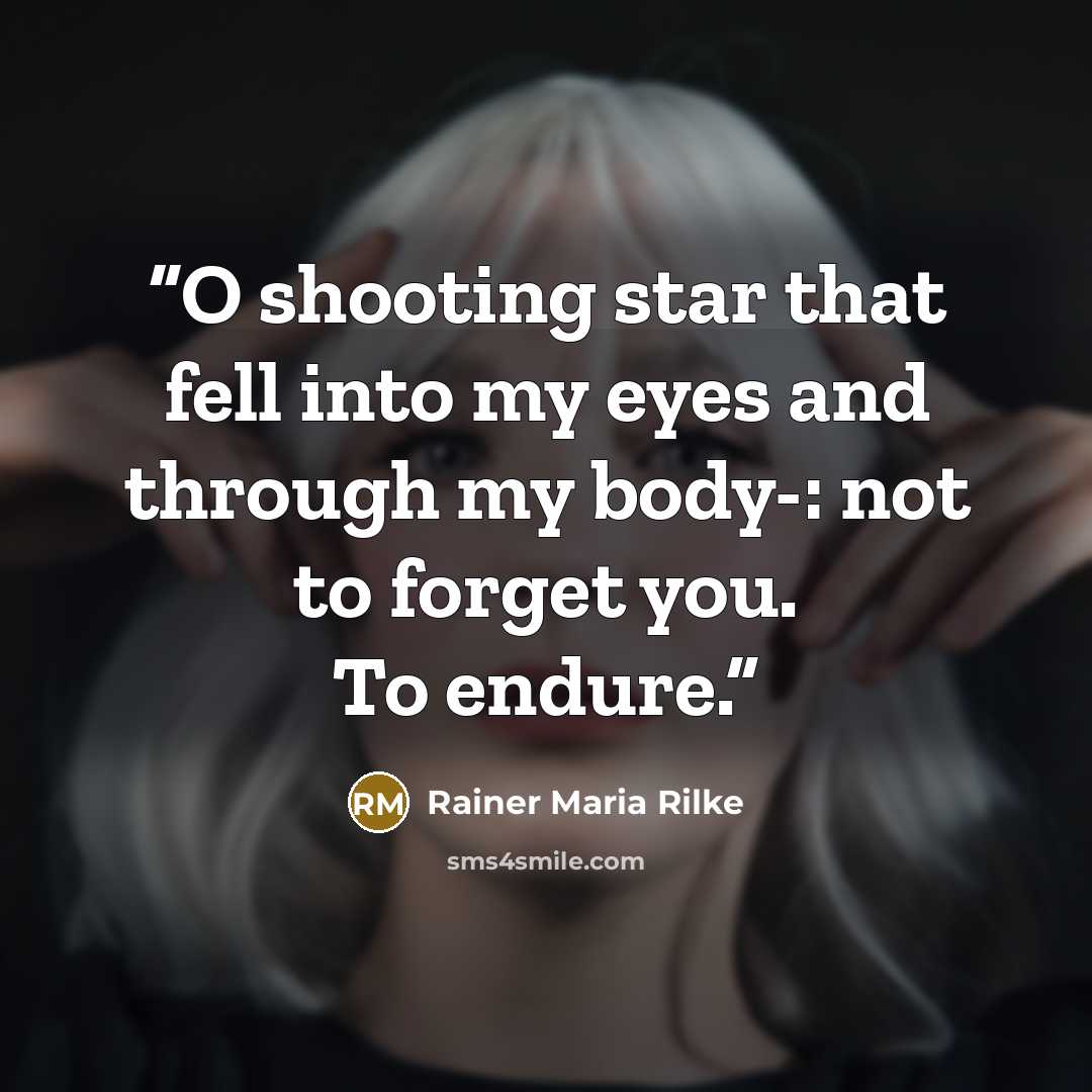 “O shooting star that fell into my eyes and through my body-: not to forget you. To endure.” quote by Rainer Maria Rilke