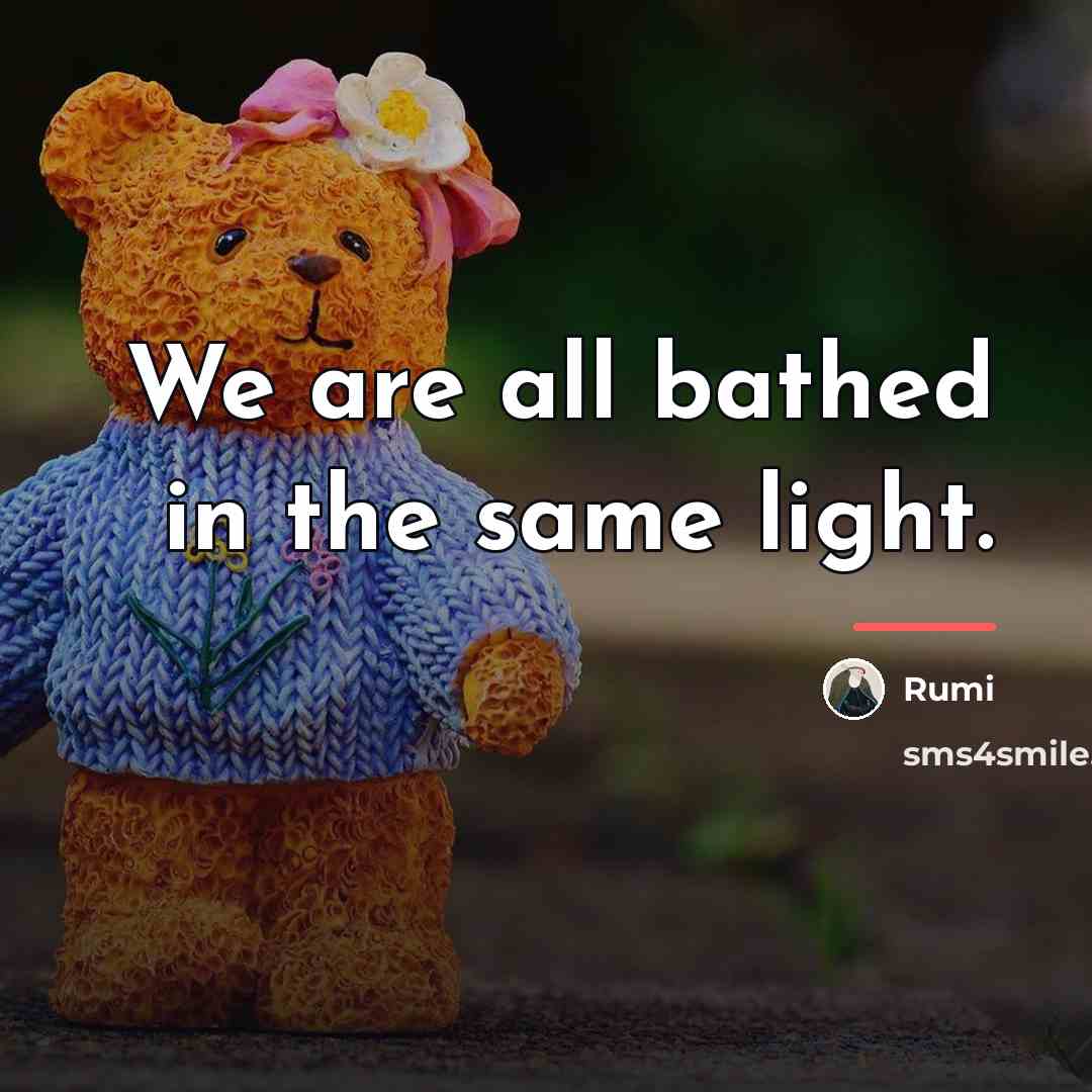 “We are all bathed in the same light.…” quote by Rumi