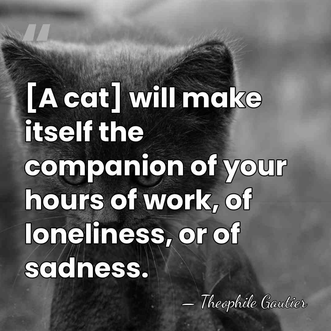 [A cat] will make itself the companion of your hours of work,&hellip; - Theophile Gautier