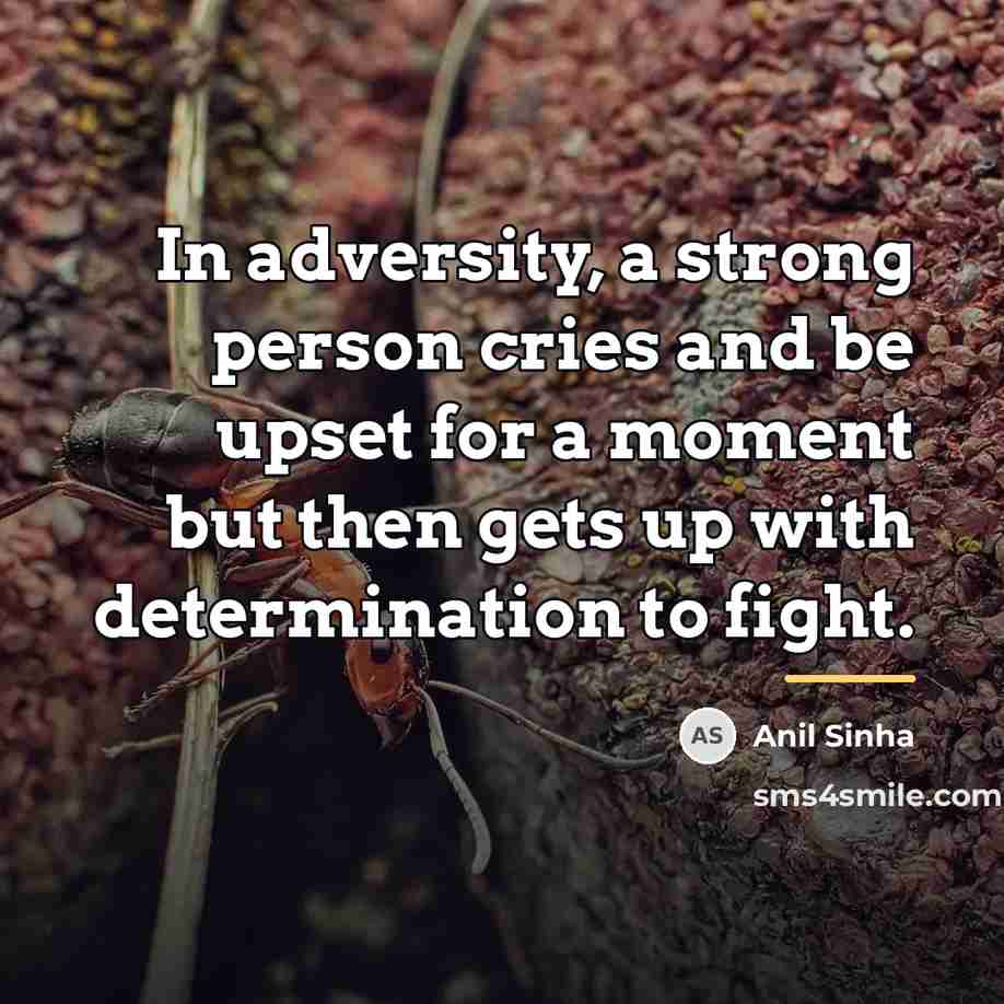 “In adversity, a strong person cries and be upset for…” quote by Anil Sinha