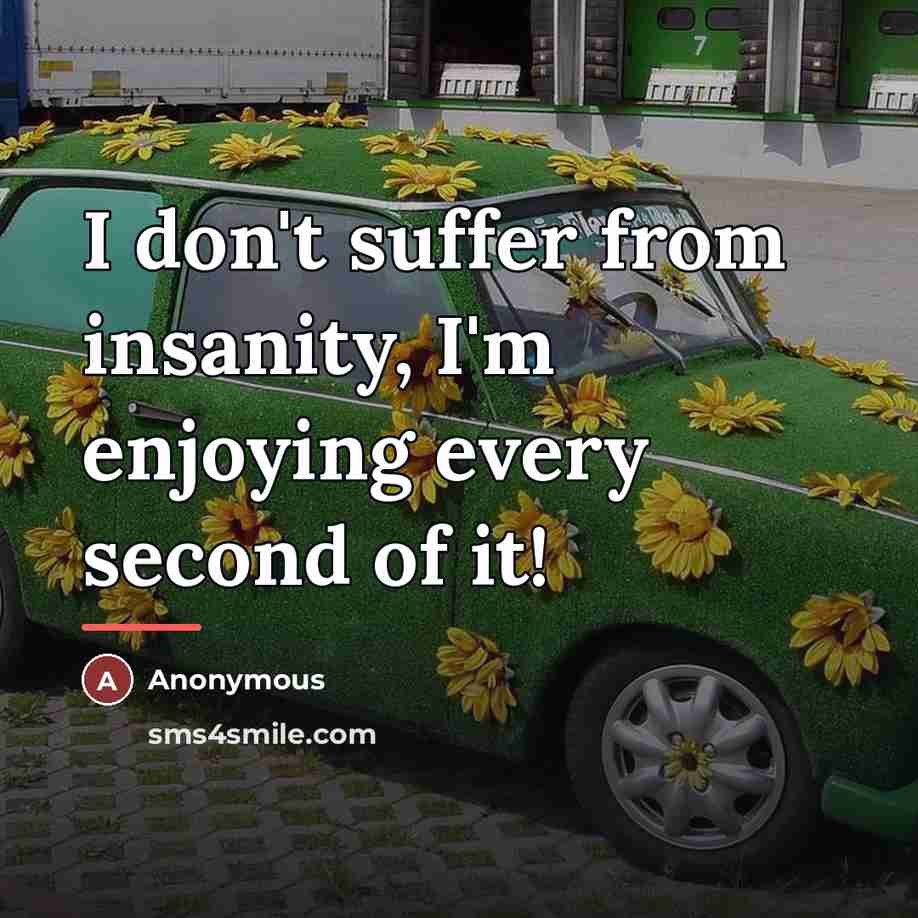 “I don't suffer from insanity, I'm enjoying every second of…” quote by Anonymous