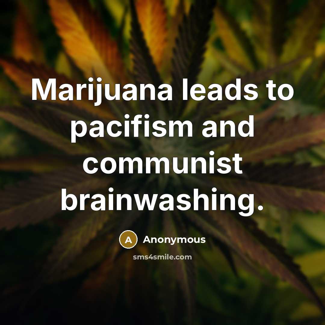 “Marijuana leads to pacifism and communist brainwashing.” quote by Anonymous