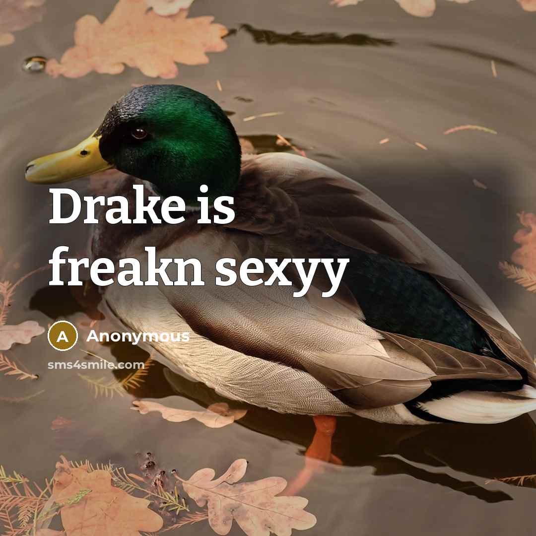“Drake is freakn sexyy” quote by Anonymous