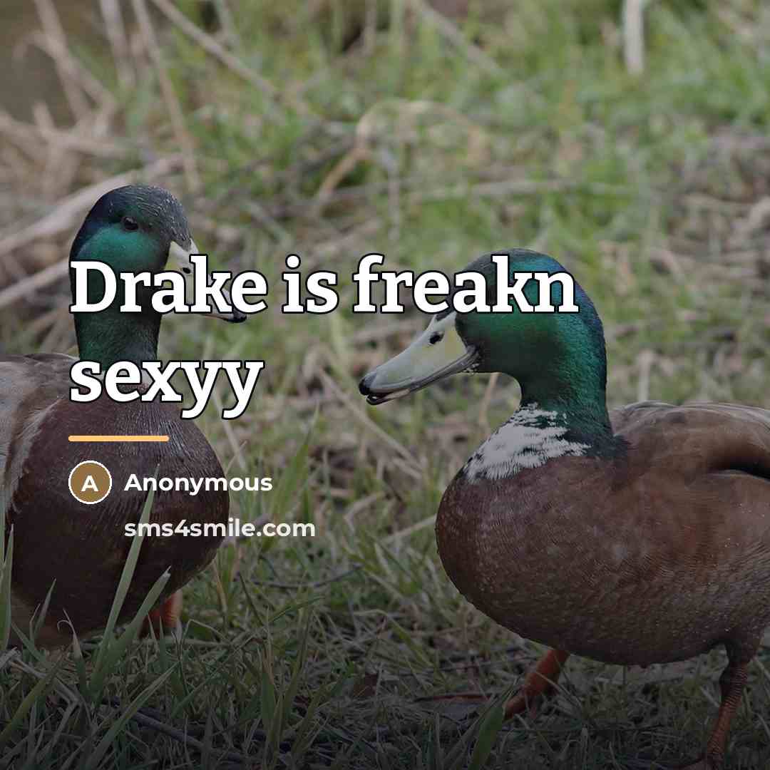 “Drake is freakn sexyy…” quote by Anonymous