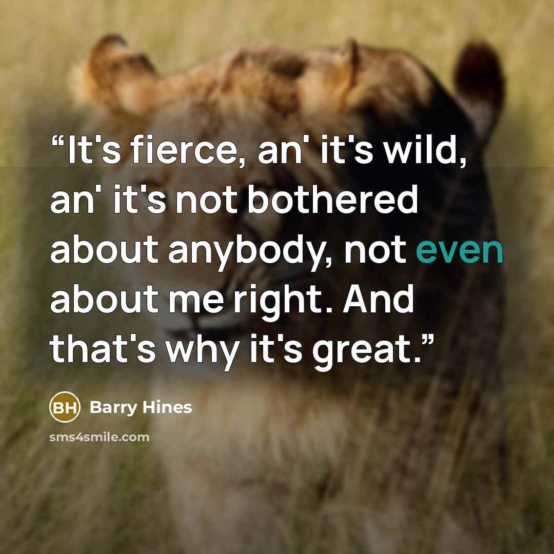 “It's fierce, an' it's wild, an' it's not bothered about anybody, not even about me right. And that's why it's great.” quote by Barry Hines