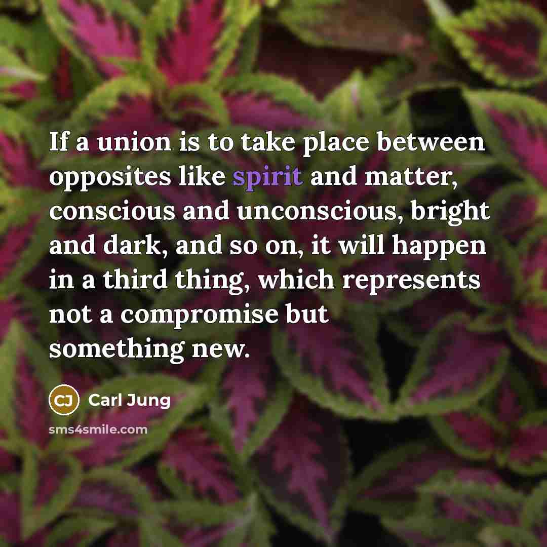 “If a union is to take place between opposites like…” quote by Carl Jung