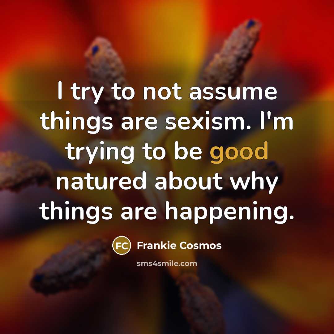 “I try to not assume things are sexism. I'm trying…” quote by Frankie Cosmos