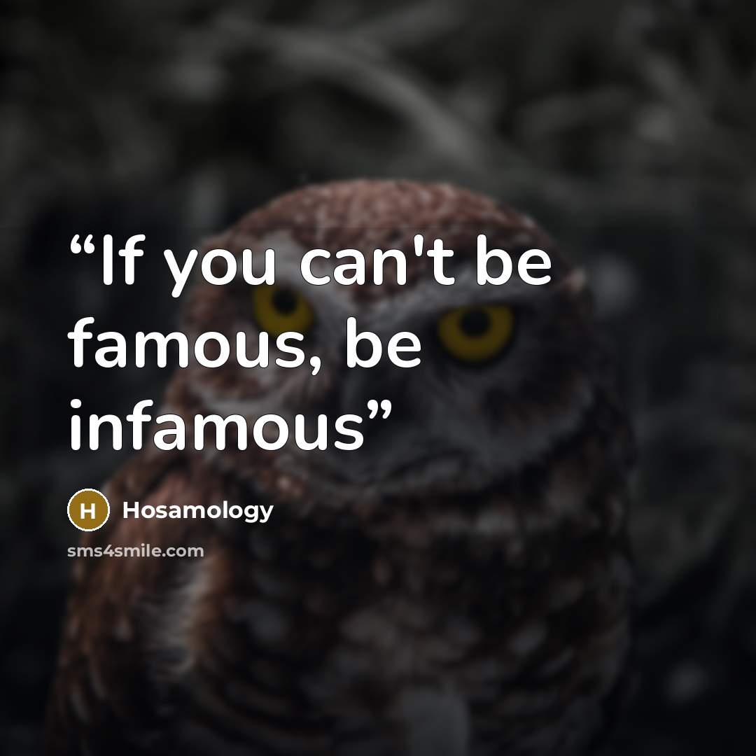 “If you can't be famous, be infamous” quote by Hosamology