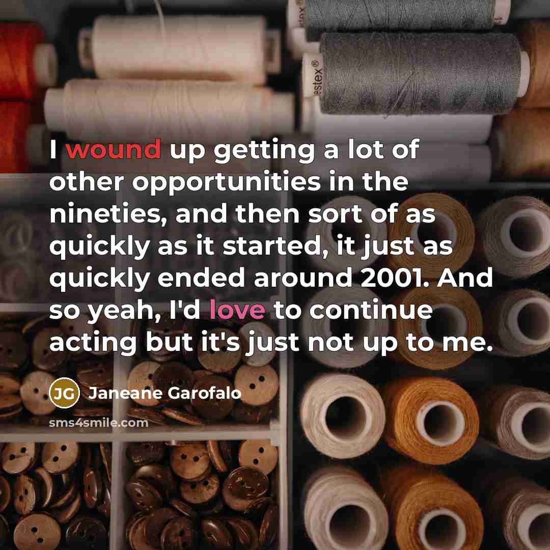 “I wound up getting a lot of other opportunities in…” quote by Janeane Garofalo