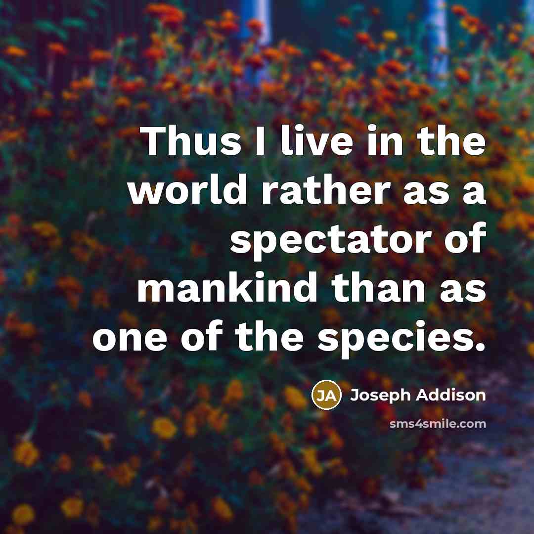 “Thus I live in the world rather as a spectator…” quote by Joseph Addison