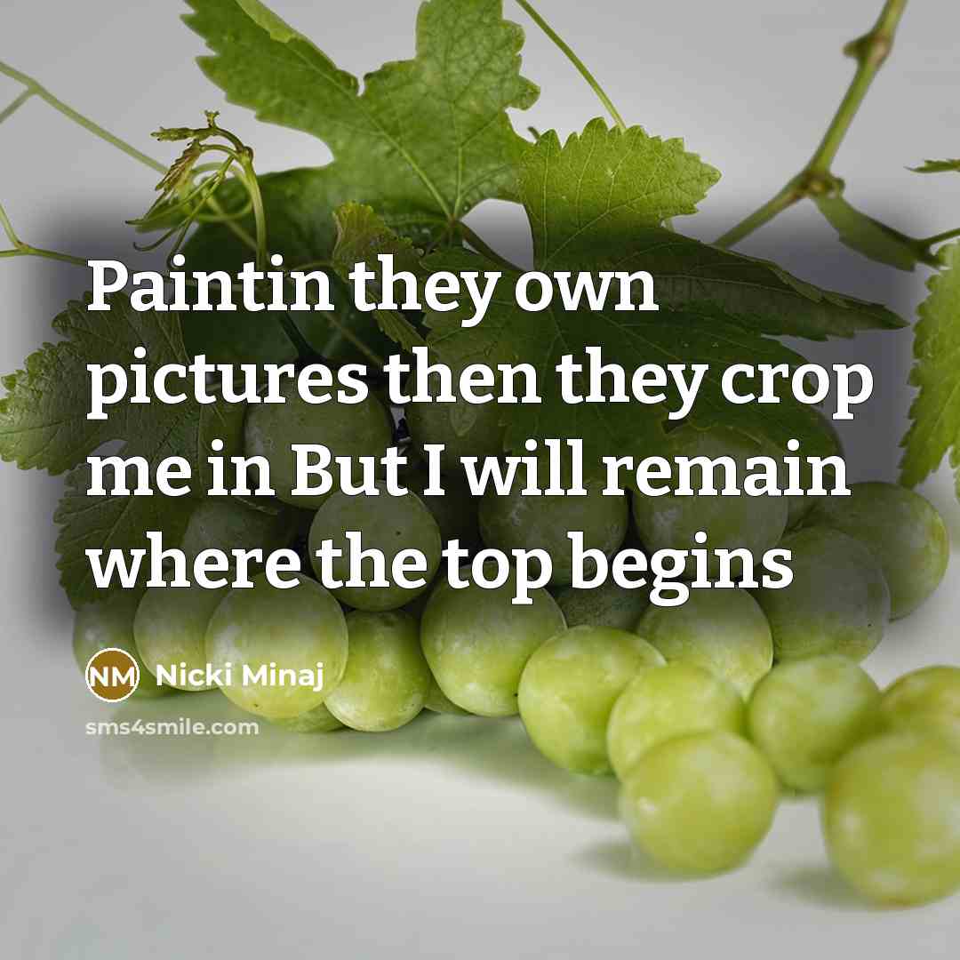 “Paintin they own pictures then they crop me in But I will remain where the top begins” quote by Nicki Minaj