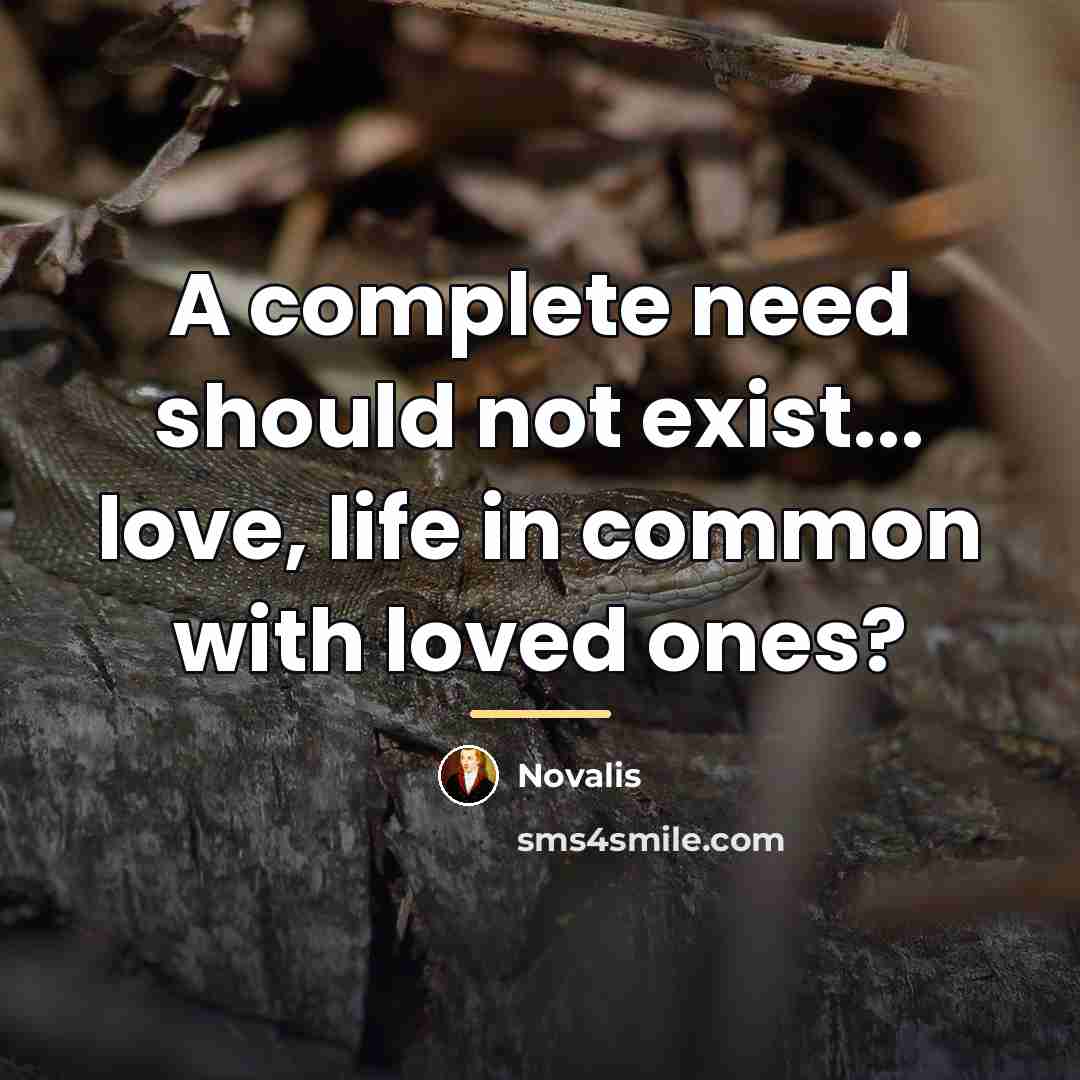 “A complete need should not exist... love, life in common…” quote by Novalis