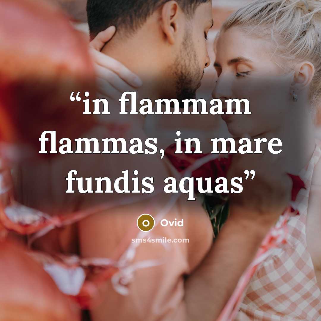 “in flammam flammas, in mare fundis aquas” quote by Ovid