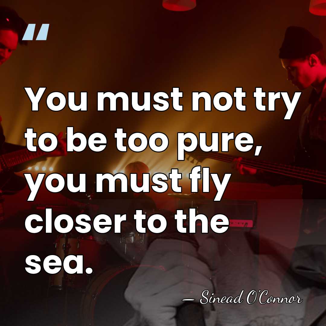 You must not try to be too pure, you must fly closer&hellip; - Sinead O'Connor