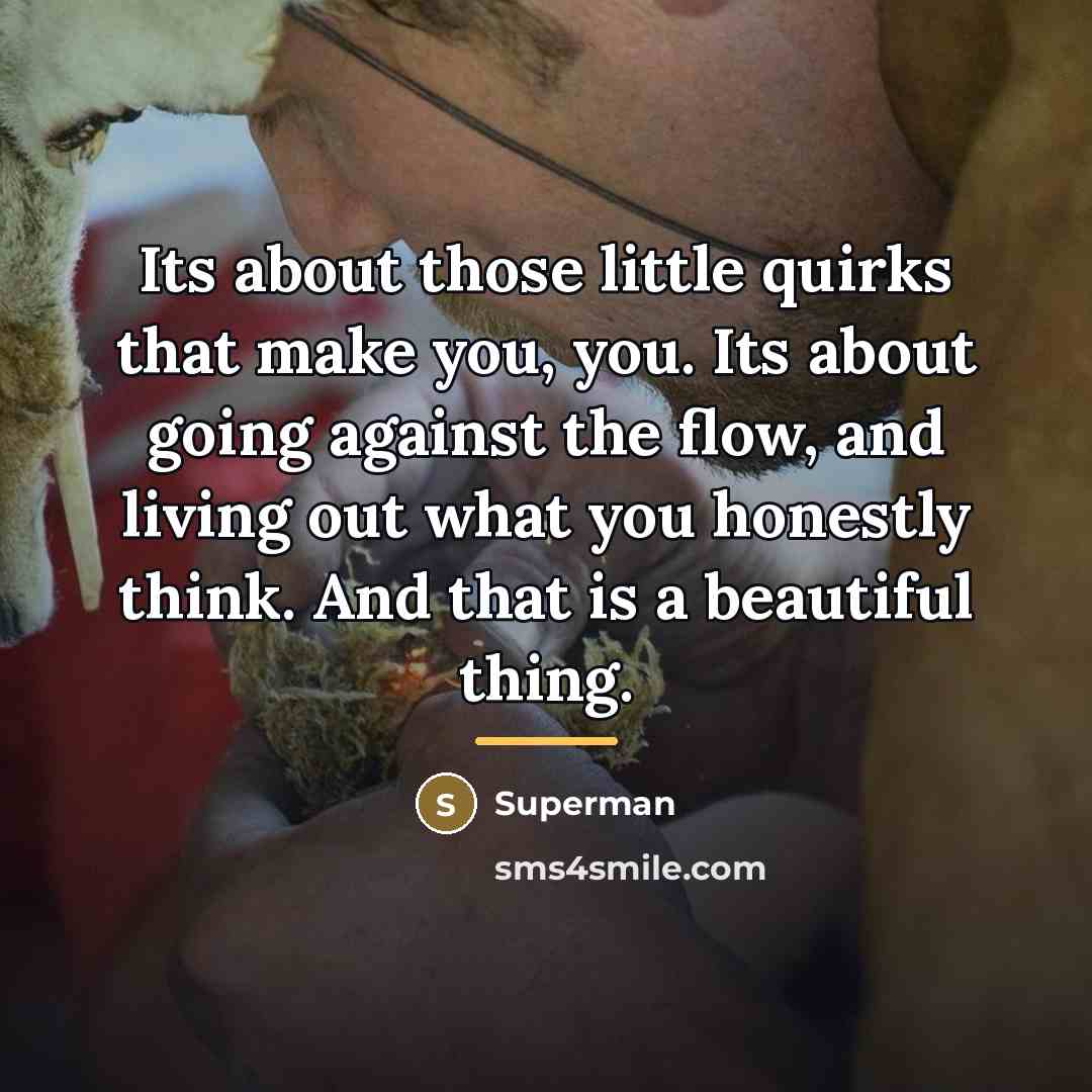 “Its about those little quirks that make you, you. Its…” quote by Superman