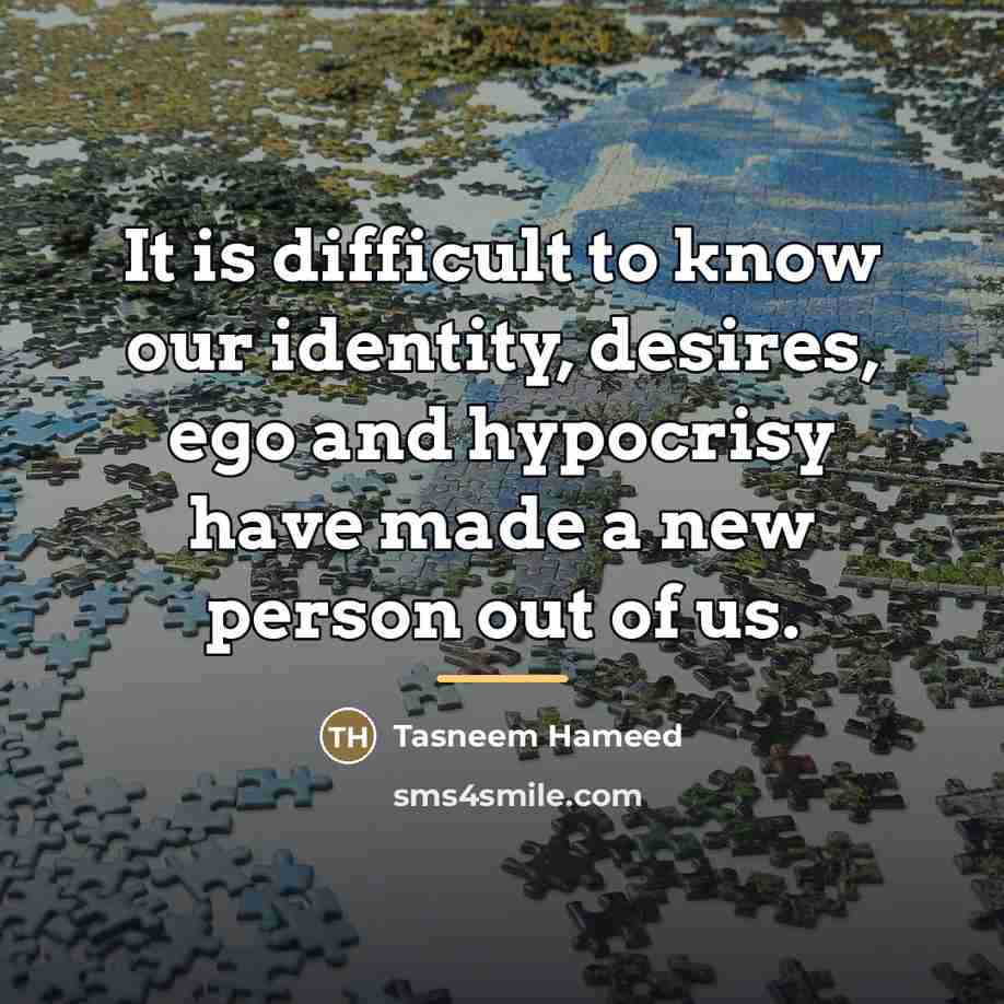 “It is difficult to know our identity, desires, ego and…” quote by Tasneem Hameed