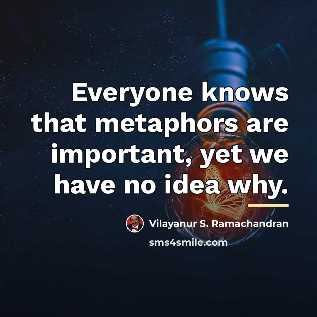 “Everyone knows that metaphors are important, yet we have no…” quote by Vilayanur S. Ramachandran