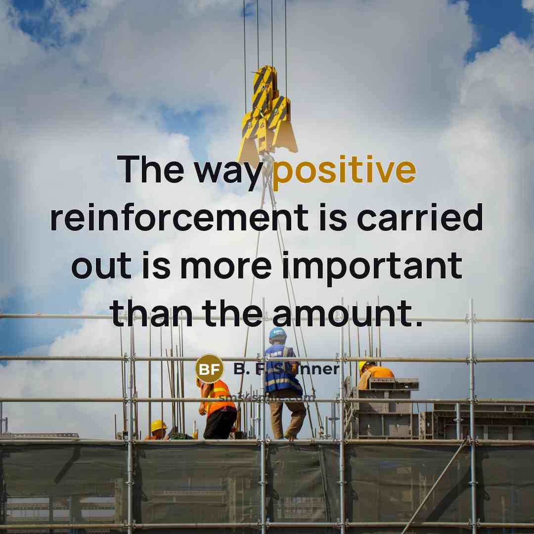 “The way positive reinforcement is carried out is more important…” quote by B. F. Skinner