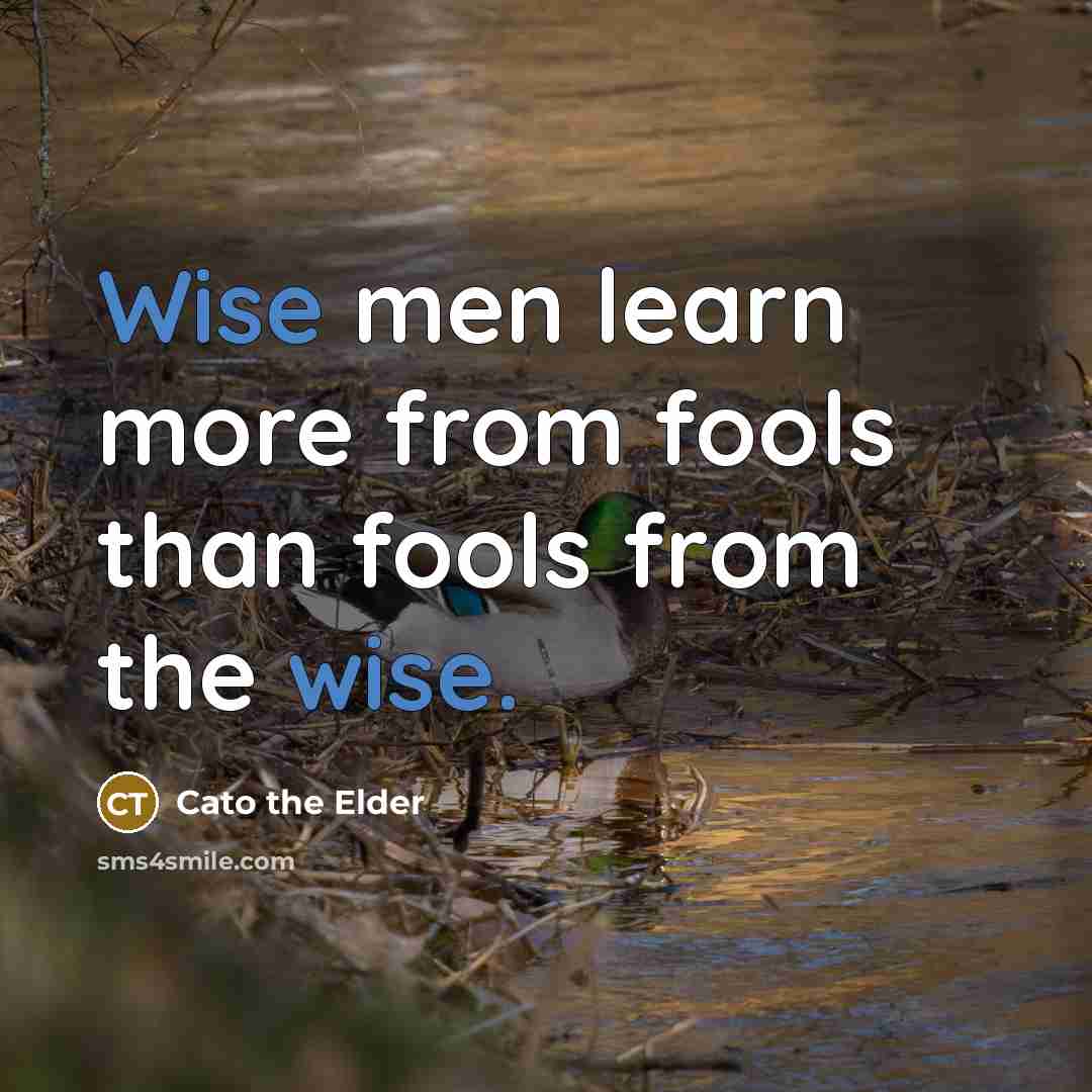 “Wise men learn more from fools than fools from the…” quote by Cato the Elder