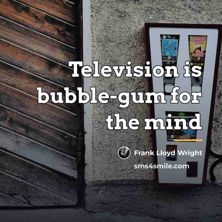 “Television is bubble-gum for the mind…” quote by Frank Lloyd Wright
