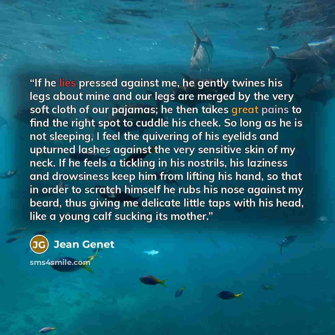 “If he lies pressed against me, he gently twines his legs about mine and our legs are merged by the very soft cloth of our pajamas; he then takes great pains to find the right spot to cuddle his cheek. So long as he is not sleeping, I feel the quivering of his eyelids and upturned lashes against…” quote by Jean Genet