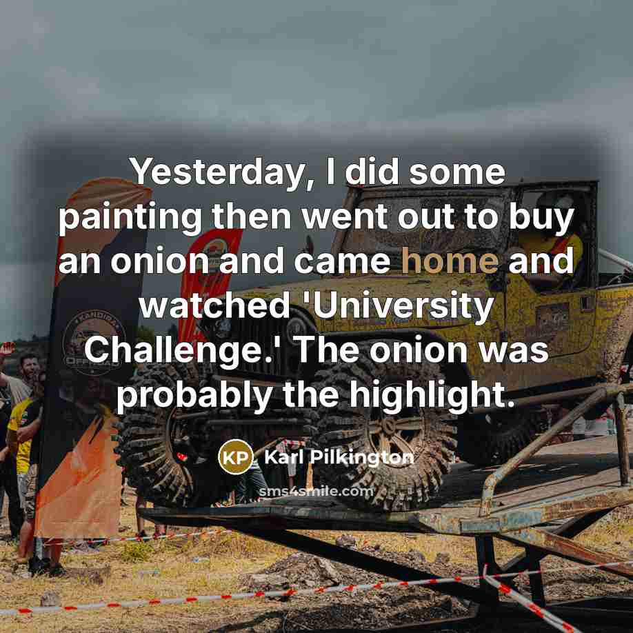 “Yesterday, I did some painting then went out to buy…” quote by Karl Pilkington