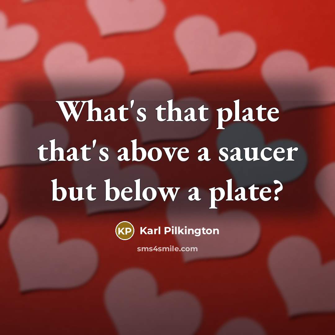 “What's that plate that's above a saucer but below a…” quote by Karl Pilkington