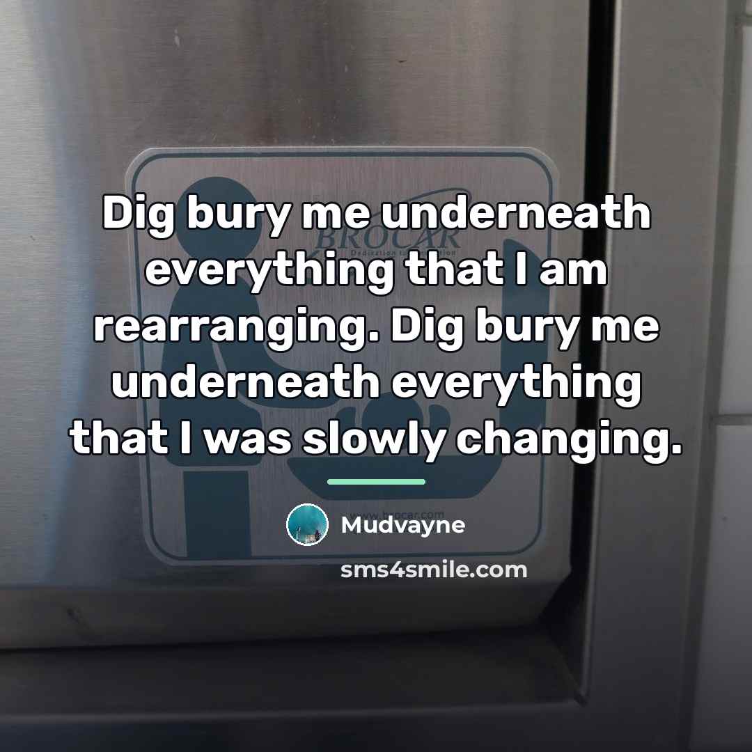 “Dig bury me underneath everything that I am rearranging. Dig…” quote by Mudvayne