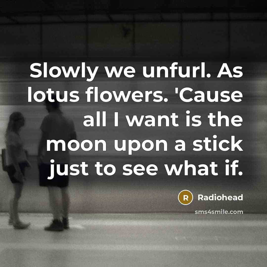 “Slowly we unfurl. As lotus flowers. 'Cause all I want…” quote by Radiohead