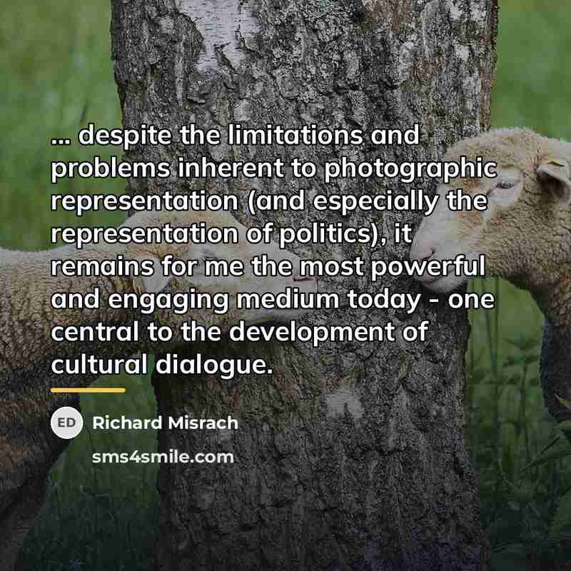 “... despite the limitations and problems inherent to photographic representation…” quote by Richard Misrach