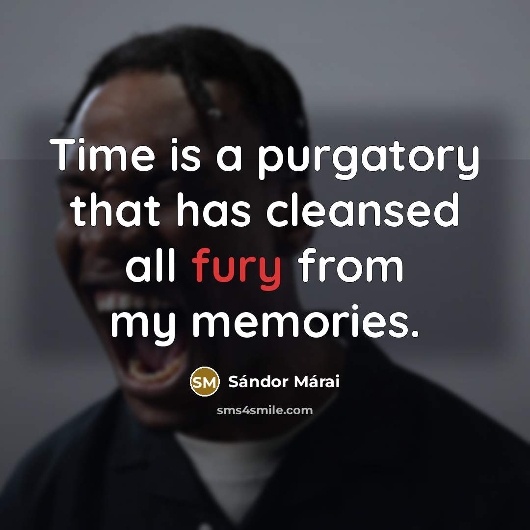 “Time is a purgatory that has cleansed all fury from…” quote by Sándor Márai